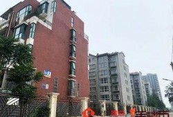 石家庄最新爆料楼,揭秘神秘楼背后的惊人真相